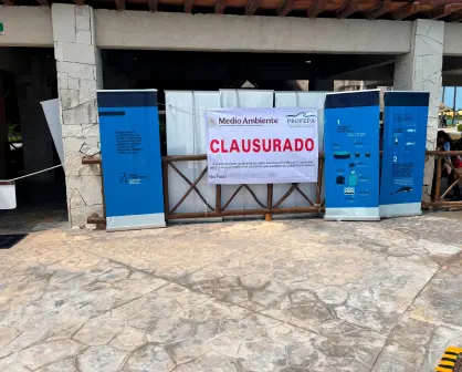 Clausuran delfinario del hotel Barceló en Quintana Roo: estas fueron las razones