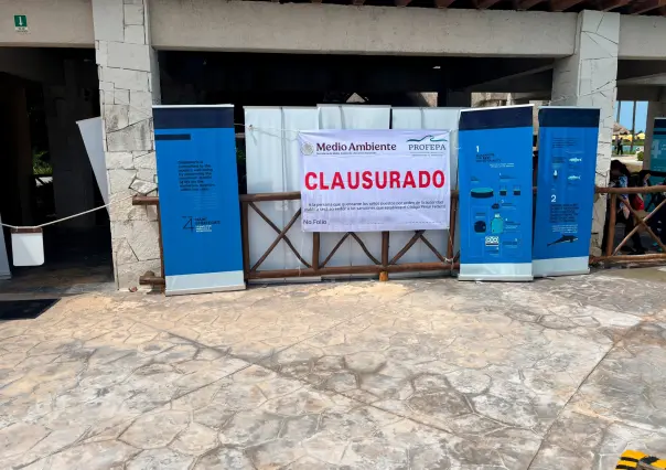 Clausuran delfinario del hotel Barceló en Quintana Roo: estas fueron las razones