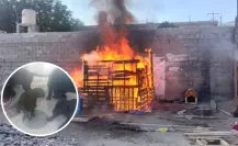 Denuncian a presunto responsable de incendio en La Palma en Saltillo; lo acusan de crueldad y violencia