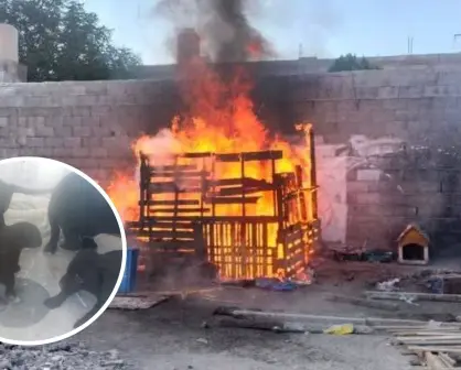Denuncian a presunto responsable de incendio en La Palma en Saltillo; lo acusan de crueldad y violencia