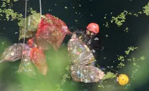 Saneamiento de cenotes en Yucatán: la SDS intervendrá 5 este año