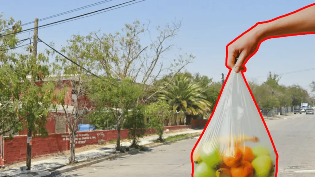 Mercadito Mezquital de Oro en Guadalupe: tradición, sabor y comunidad en cada esquina