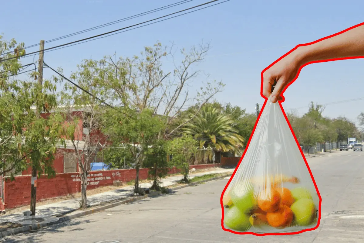 El Mercadito Mezquital de Oro se instala cada miércoles en horario matutino, lo que lo convierte en una excelente opción para quienes prefieren hacer sus compras temprano. Foto: Canva.