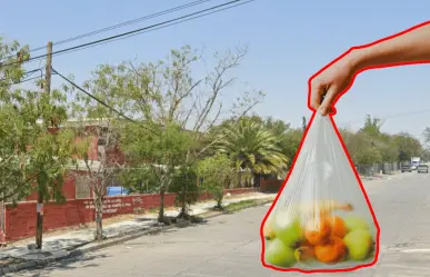 Mercadito Mezquital de Oro en Guadalupe: tradición, sabor y comunidad en cada esquina