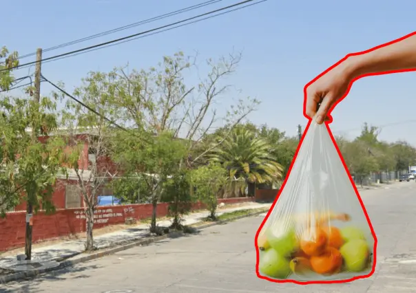 Mercadito Mezquital de Oro en Guadalupe: tradición, sabor y comunidad en cada esquina