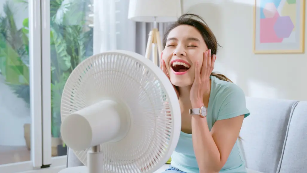 ¡Adiós ola de calor! Refréscate con los mejores 3 ventiladores, según Profeco