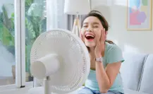 ¡Adiós ola de calor! Refréscate con los mejores 3 ventiladores, según Profeco