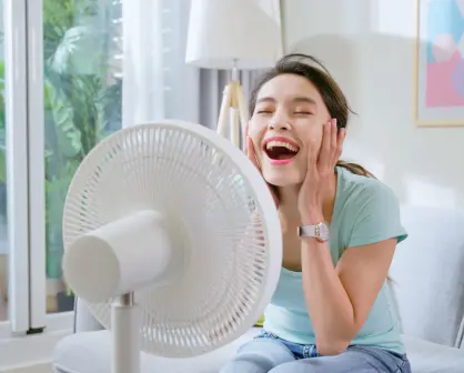 ¡Adiós ola de calor! Refréscate con los mejores 3 ventiladores, según Profeco
