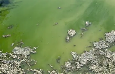 ESPECIAL| Aguas negras, el enemigo invencible del Río Tunal