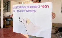 Rescatistas de animales convocan a protesta contra el maltrato animal en Mérida