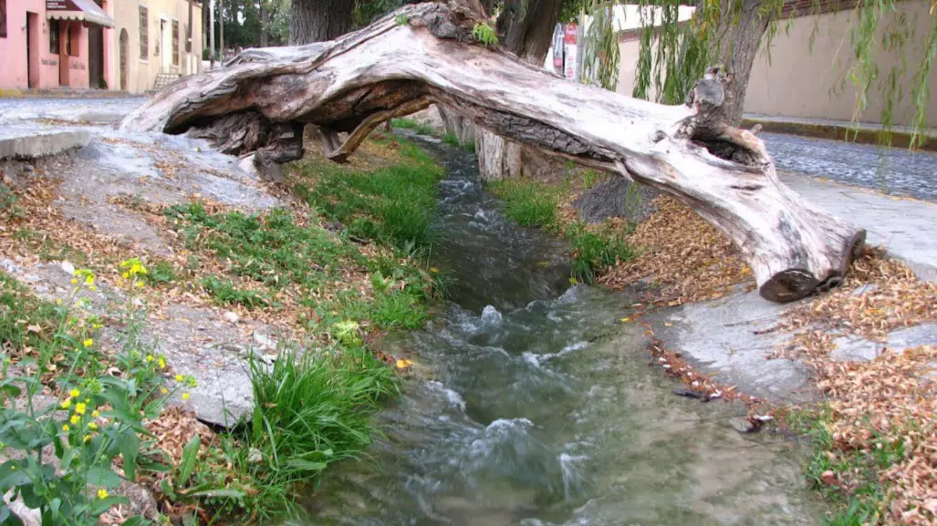 Descubre la historia detrás de la acequia que atraviesa Arteaga, Coahuila