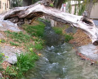 Descubre la historia detrás de la acequia que atraviesa Arteaga, Coahuila