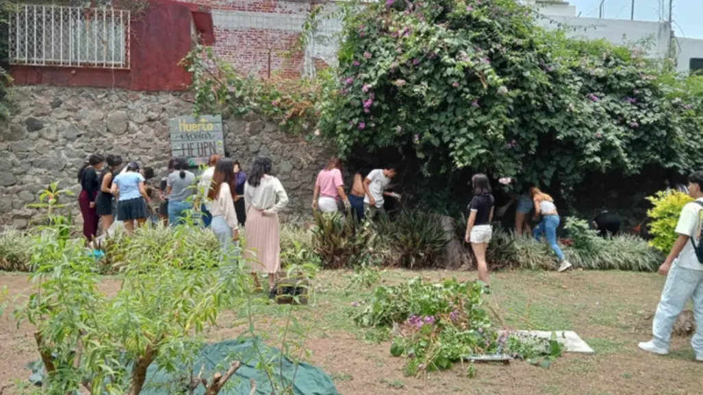 Edomex se une a la Jornada Nacional de Tequios por la Paz y las Adicciones