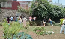Edomex se une a la Jornada Nacional de Tequios por la Paz y las Adicciones