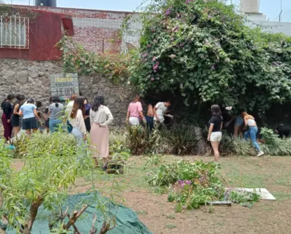 Edomex se une a la Jornada Nacional de Tequios por la Paz y las Adicciones