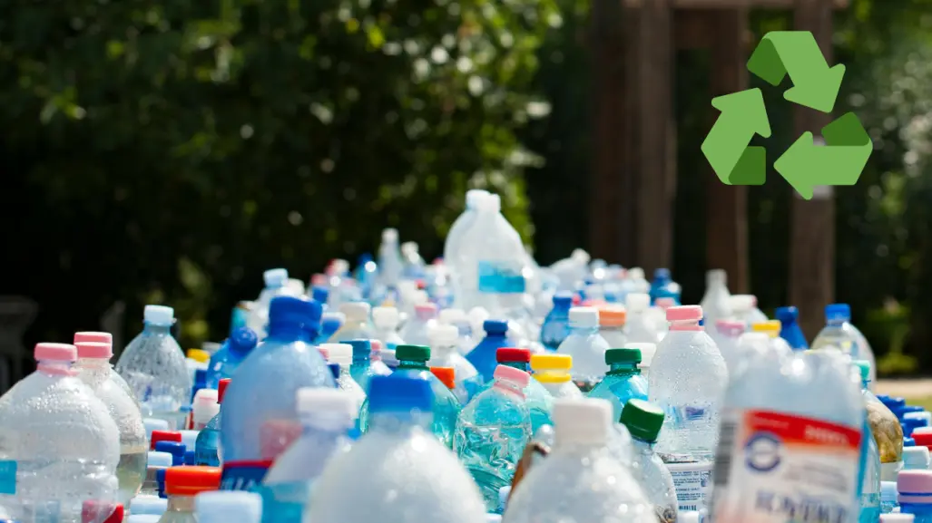 Mega reciclatón en Toluca: cambia tus residuos por comestibles