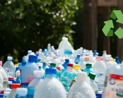 Mega reciclatón en Toluca: cambia tus residuos por comestibles