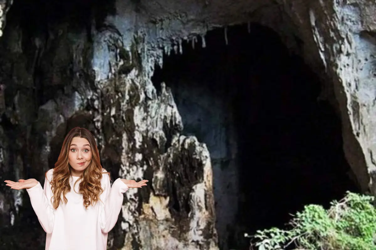 La Cueva del Pachón no es solo un lugar bello; es un universo oculto bajo tierra que refleja la riqueza desconocida de Tamaulipas. Foto: Posta Tamaulipas