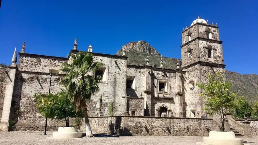 A pesar de su edad, los árboles continúan produciendo aceitunas para consumo y aceite. Foto: Trip Advisor