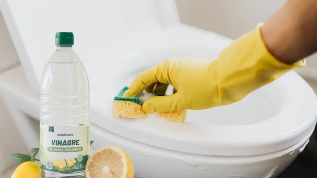 Diferencias entre vinagre blanco y vinagre de limpieza