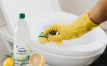 Diferencias entre vinagre blanco y vinagre de limpieza