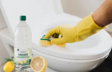 Diferencias entre vinagre blanco y vinagre de limpieza