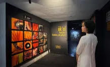 Descubre Iikel en Mérida: Insectos extintos y en peligro te esperan en el Museo de la Luz