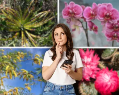 Flores imperdibles que florecen en mayo en Tamaulipas, según la IA