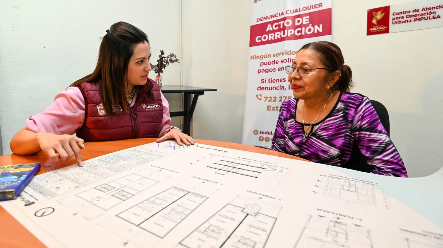 Conavi e Infonavit participan en la construcción de estas casas del programa. Imagen: GEM