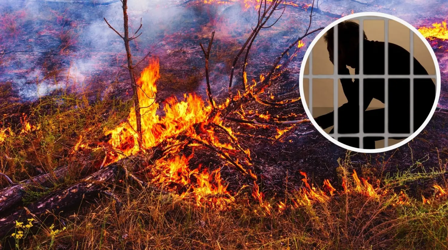 Esta sería la pena para las personas que provoquen incendios en Coahuila. (Fotografía: Canva)