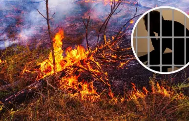 Congreso de Coahuila aprueba castigo de cárcel para quienes causen incendios; esta es la pena