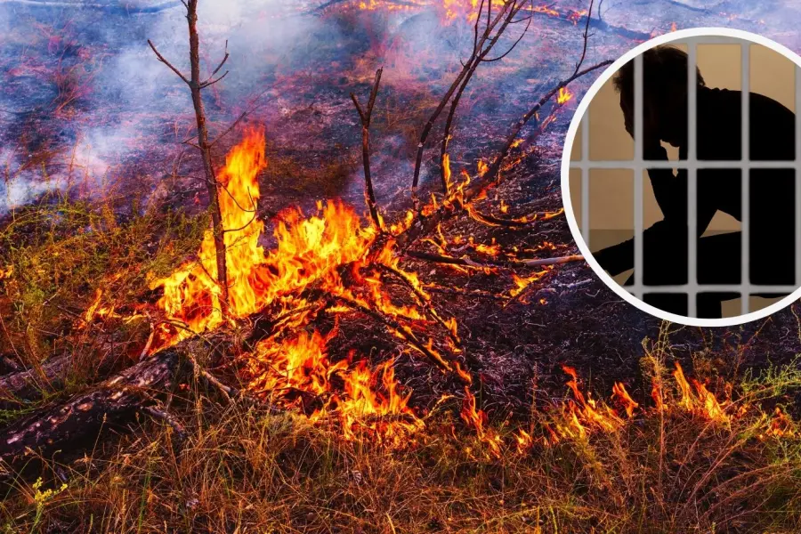 Congreso de Coahuila aprueba castigo de cárcel para quienes causen incendios; esta es la pena