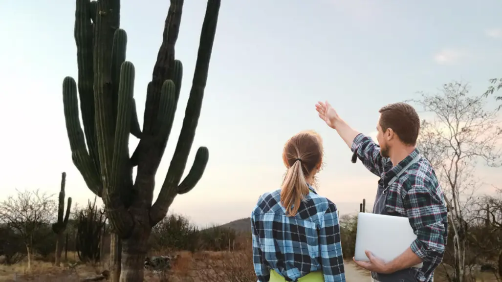 ¿Cómo sobrevive el cactus gigante de BCS más de 300 años en el desierto?