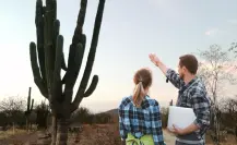 ¿Cómo sobrevive el cactus gigante de BCS más de 300 años en el desierto?