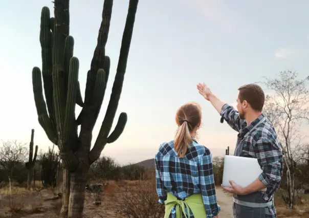 ¿Cómo sobrevive el cactus gigante de BCS más de 300 años en el desierto?