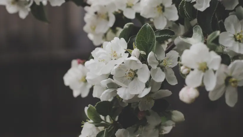 Foto: Canva.