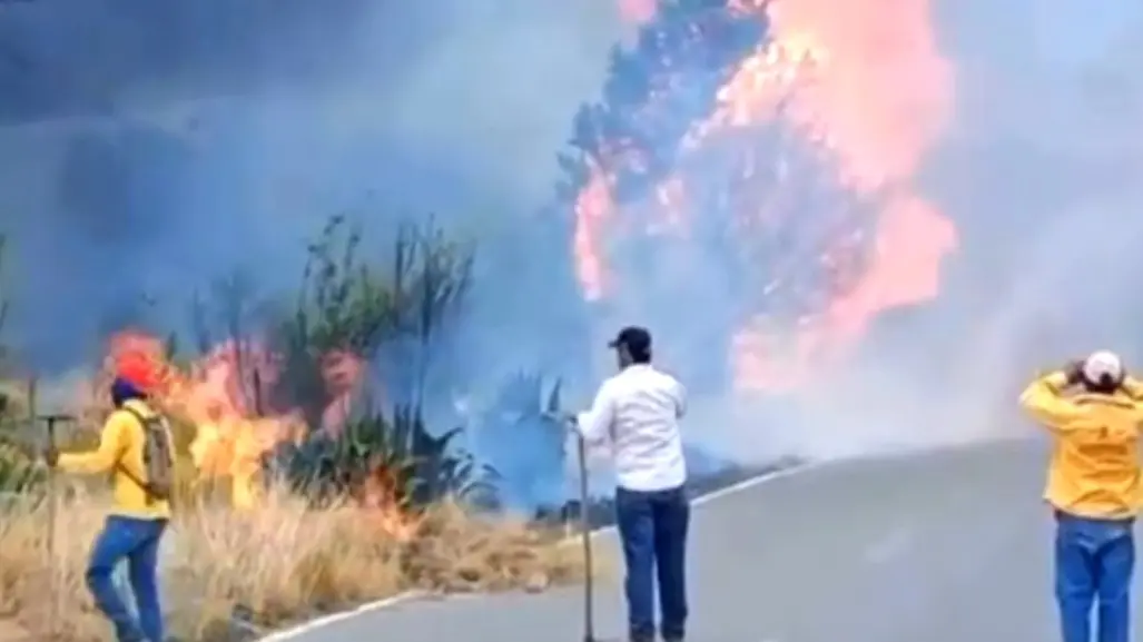 Reportan incendio en carretera el Tunal, Arteaga