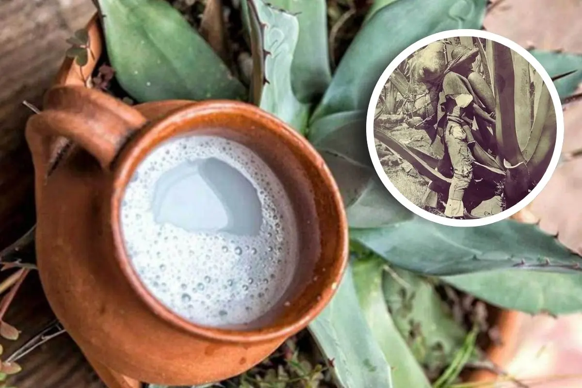 Agua miel en Coahuila, una bebida ancestral con propiedades que trascienden al tiempo / Foto: Temascalapa Mex | Enrique Taboada | Canva