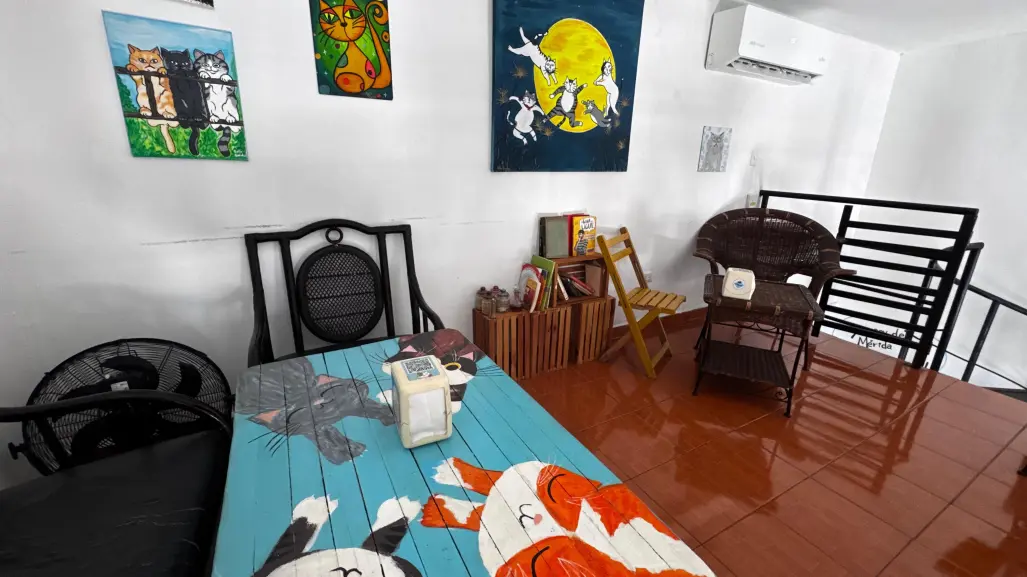 Si eres fan de los gatos tienes que conocer esta cafetería en Mérida con productos orgánicos