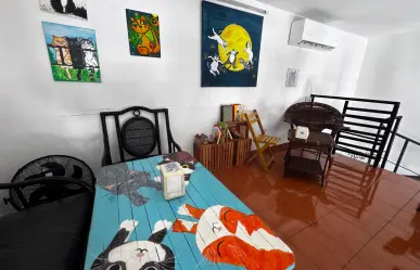 Si eres fan de los gatos tienes que conocer esta cafetería en Mérida con productos orgánicos