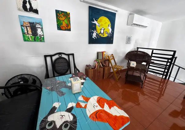 Si eres fan de los gatos tienes que conocer esta cafetería en Mérida con productos orgánicos