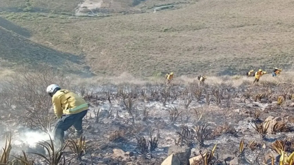 Gobierno de García controla incendio en el cerro de las Mariposas tras intensa jornada