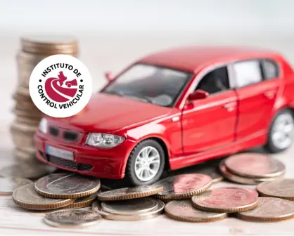 Estos son los motivos para admitir la baja de un auto en Control Vehicular