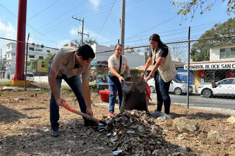 Limpiaron y reforestaron plazas, playas, avenidas |Foto: INJUVE