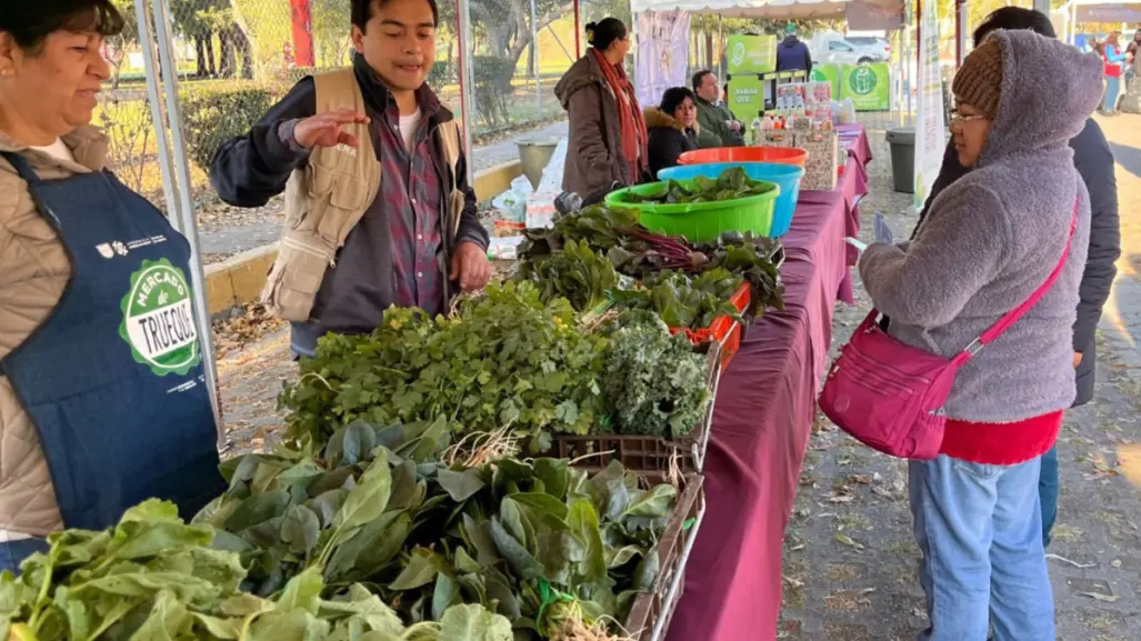 ¿Tienes ropa en buen estado? La Mega Jornada de Reciclaje 2025 permite cambiarla por plantas