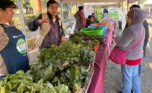 ¿Tienes ropa en buen estado? La Mega Jornada de Reciclaje 2025 permite cambiarla por plantas