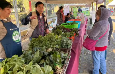 ¿Tienes ropa en buen estado? La Mega Jornada de Reciclaje 2025 permite cambiarla por plantas