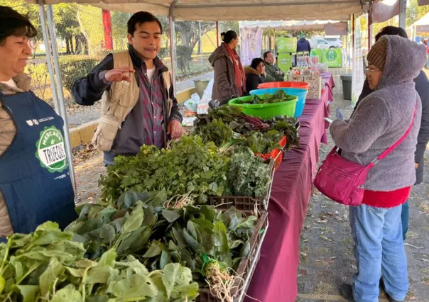 ¿Tienes ropa en buen estado? La Mega Jornada de Reciclaje 2025 permite cambiarla por plantas