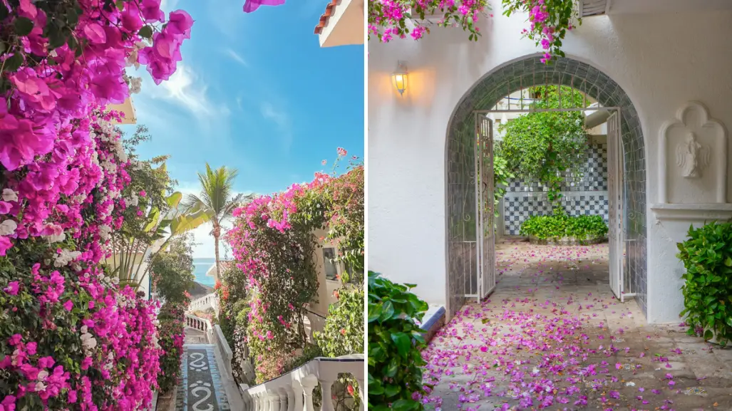 No es Grecia, es Mar del Cabo: el hotel boutique que enamora en Los Cabos