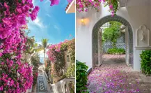 No es Grecia, es Mar del Cabo: el hotel boutique que enamora en Los Cabos No es Grecia, es Mar del Cabo: el hotel boutique que enamora en Los Cabos